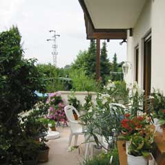 Die Terasse mit freiem Blick auf die Haardt und Zugang zum Garten.